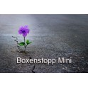 Boxenstopp! Mini